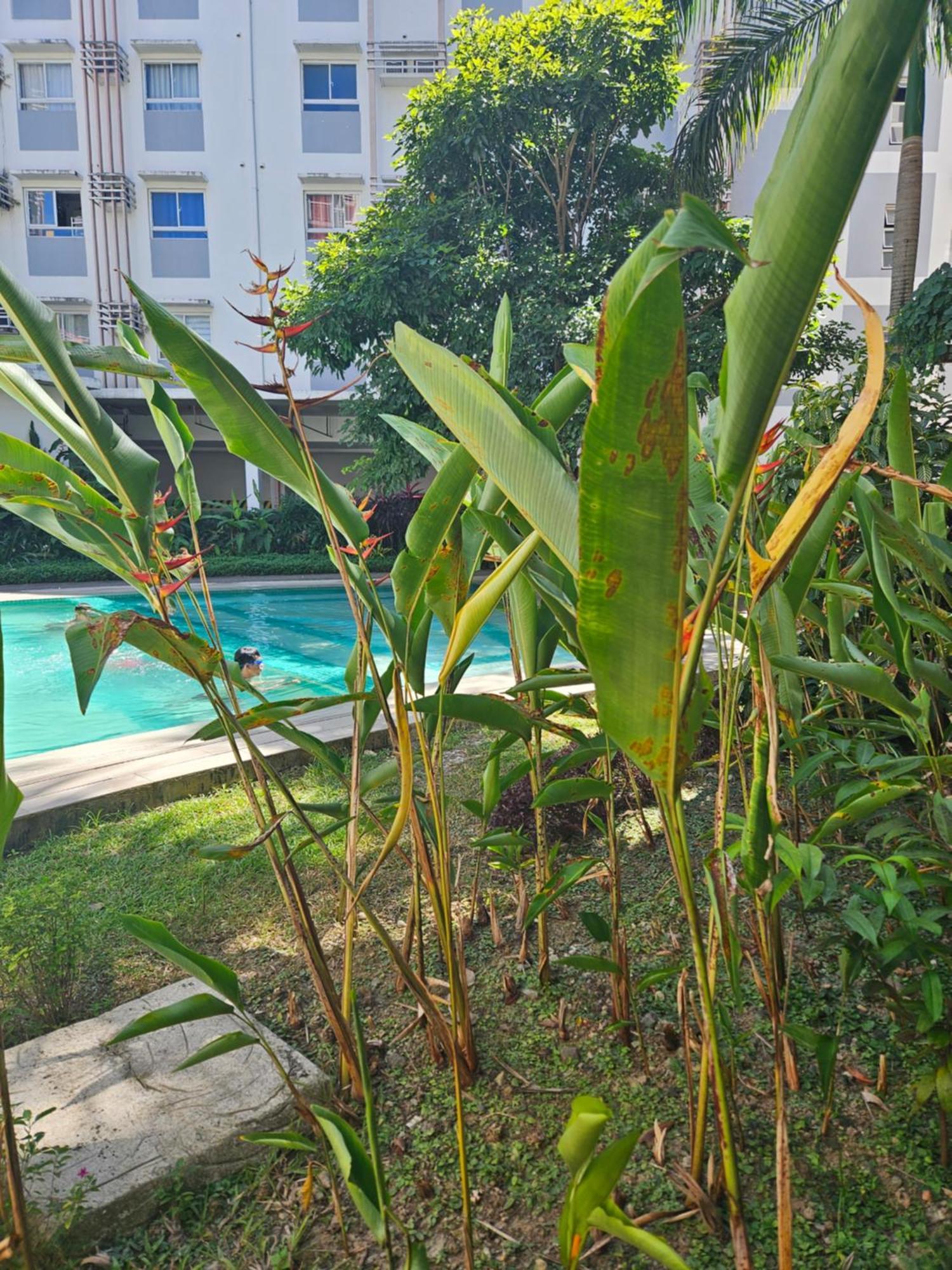 2-Bedroom Boutique City Condo - Newly Renovated! Cebu Dış mekan fotoğraf