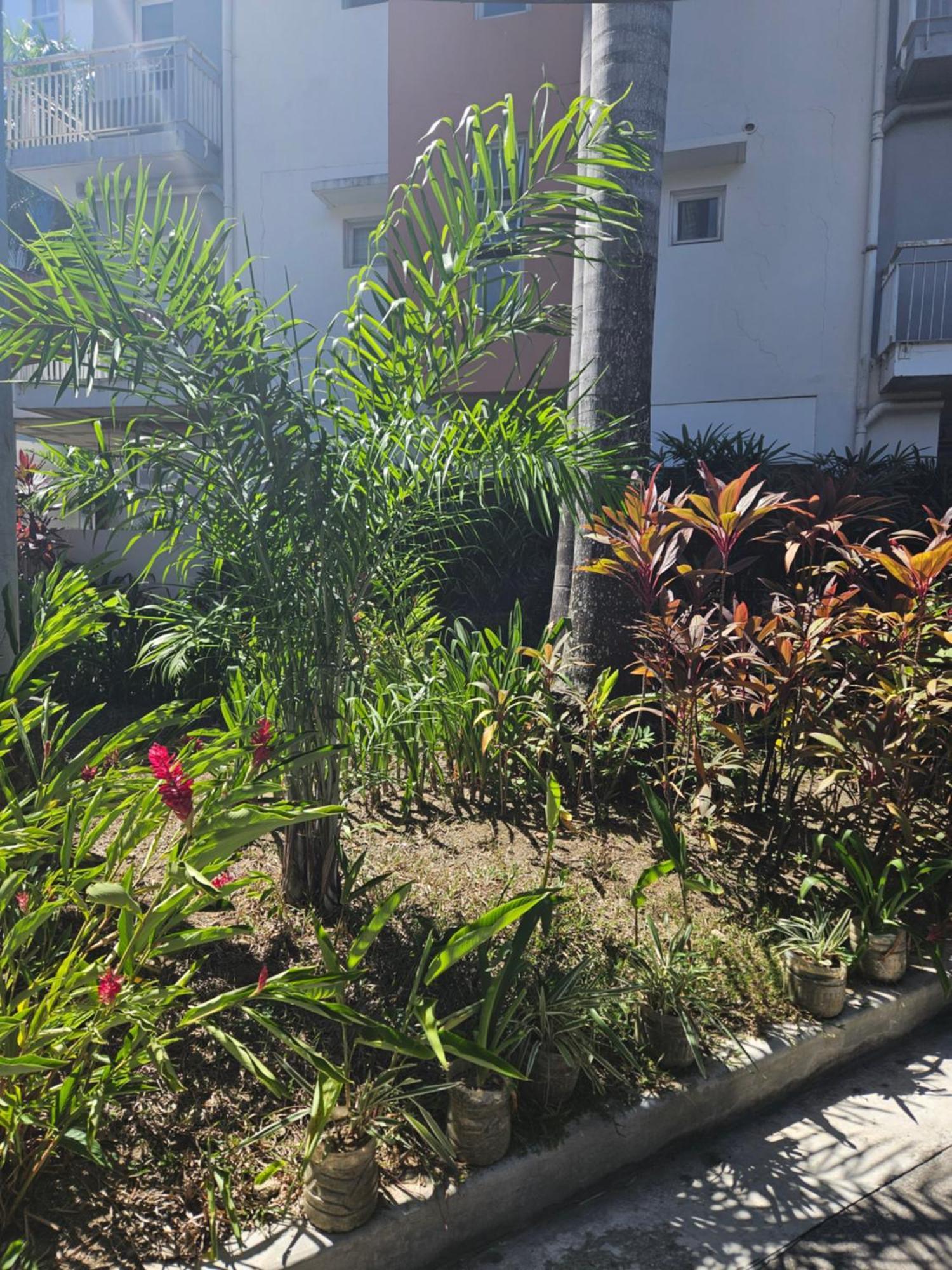 2-Bedroom Boutique City Condo - Newly Renovated! Cebu Dış mekan fotoğraf